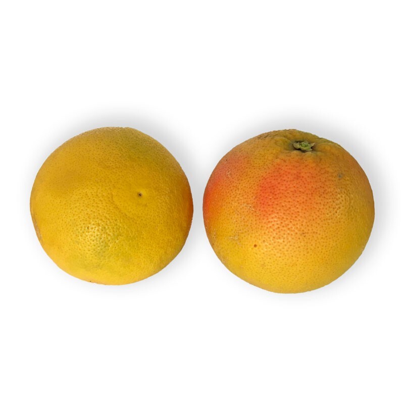 Pampelmusen, rosa aus Sizilien, unbehandelt