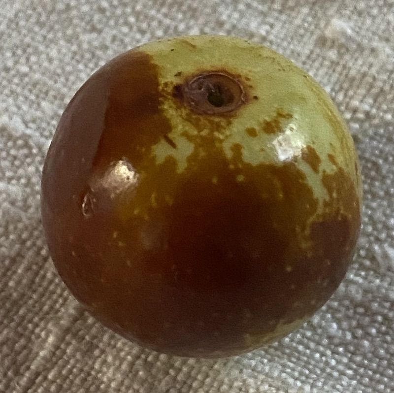 Jujuba-Konfitüre 90g